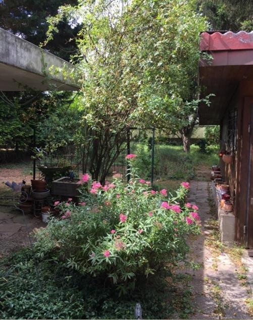 Haus Anneliese Daire Herbolzheim Dış mekan fotoğraf